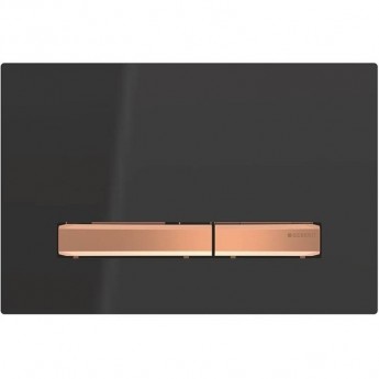 Клавиша смыва GEBERIT SIGMA 50 115.670.DW.2 черный Клавиша смыва GEBERIT SIGMA 50 115.670.DW.2 черный